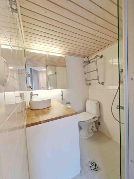 Stylish Studio In Downtown הלסינקי מראה חיצוני תמונה